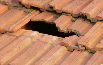roof repair Woodbury Salterton, Devon